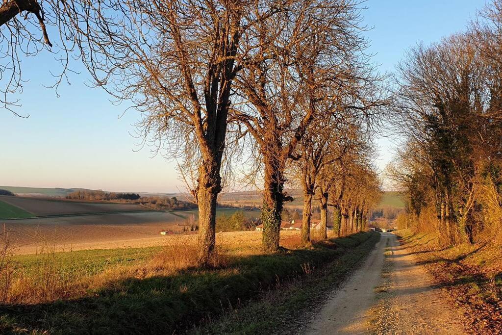 Le Bellevue A 1 H 30 De Paris Et 20 Km De Troyes Estissac Exterior foto